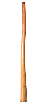 Tristan O'Meara Didgeridoo (TM505)